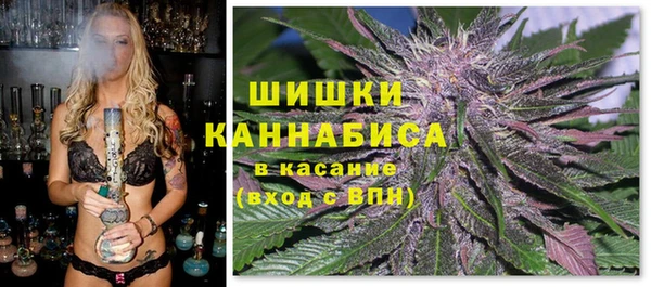 соль ск Богородицк