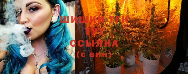 трава Бородино