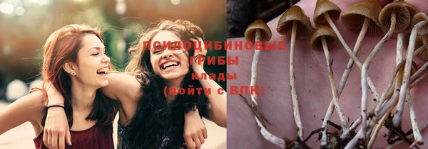 трава Бородино